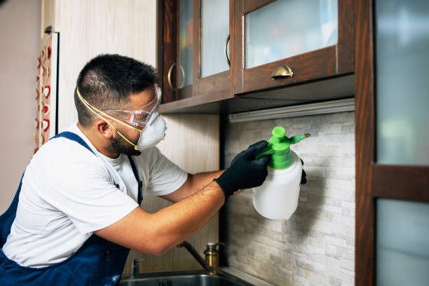 Best Cockroach Control Services  in Daniels Farm, CT