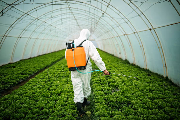 Best Mosquito Control Services  in Daniels Farm, CT