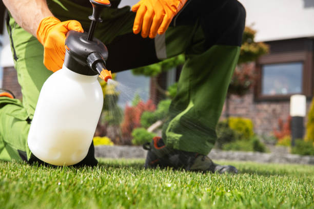 Best Local Pest Control Services  in Daniels Farm, CT