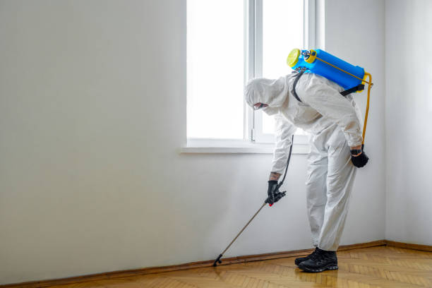 Best Exterminator Services  in Daniels Farm, CT