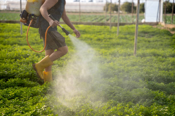 Flea Control Services in Daniels Farm, CT