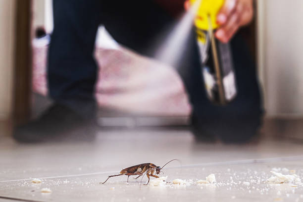 Best Bed Bug Extermination  in Daniels Farm, CT