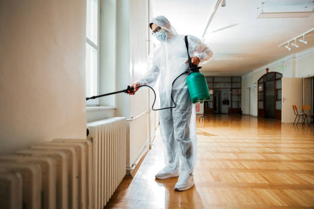 Best Best Pest Control Companies  in Daniels Farm, CT