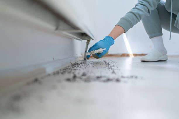 Best Pest Control for Restaurants  in Daniels Farm, CT